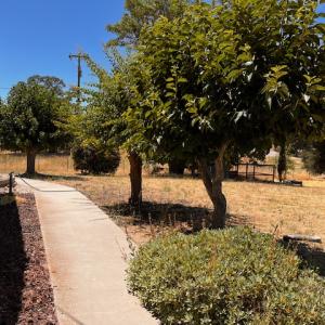 14580 Sandoval - Home 