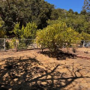 2530 Ridge Road, Templeton