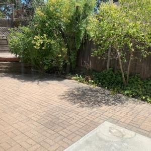 7030 Los Arboles