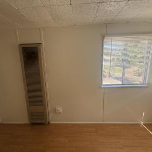 16155 Walnut