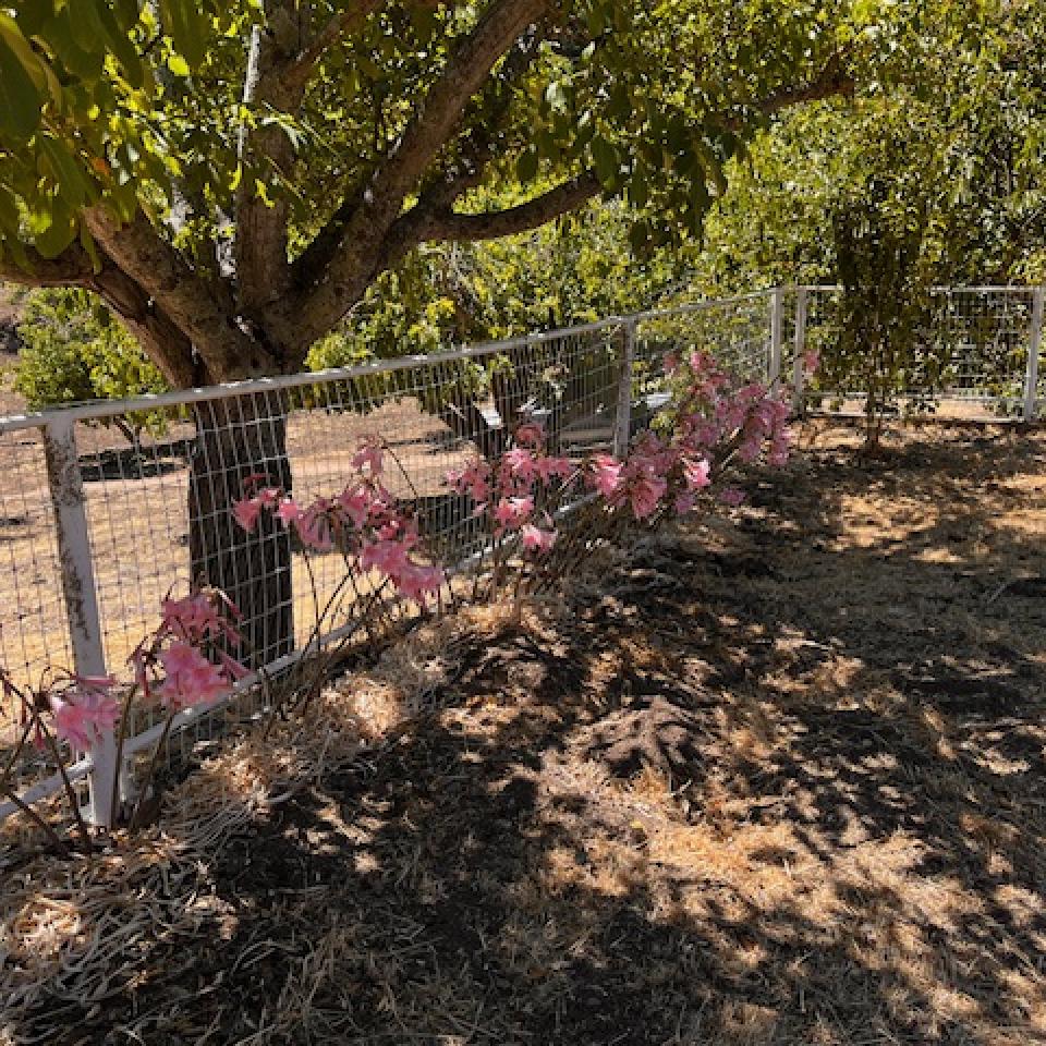 2530 Ridge Road, Templeton