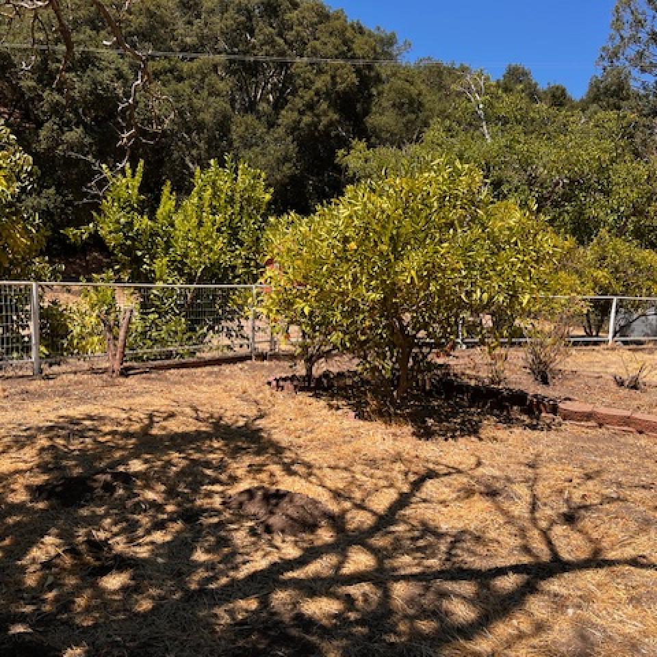 2530 Ridge Road, Templeton