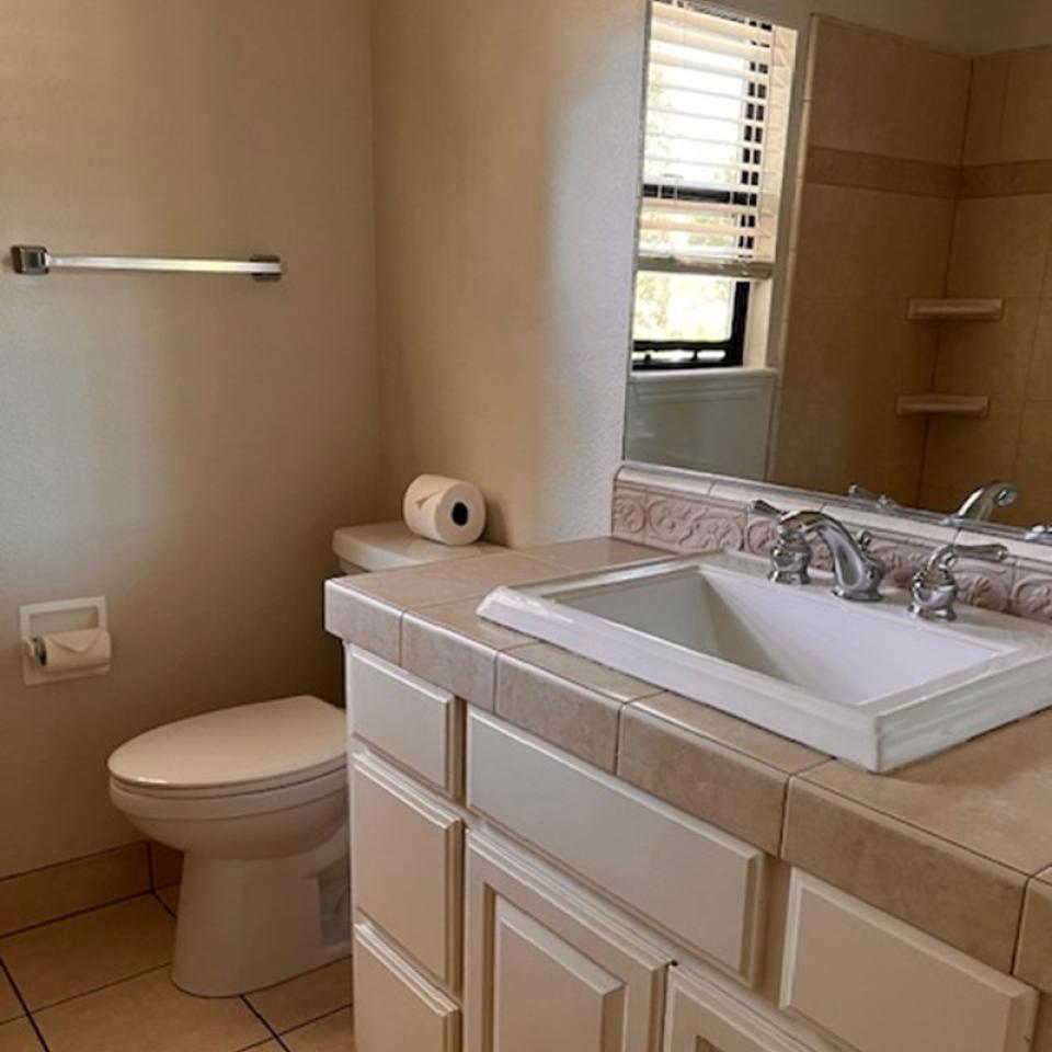 Primary Bath